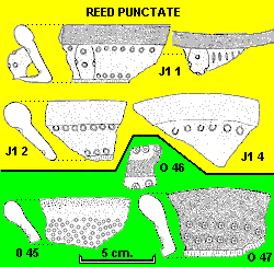 reed punctate sherds