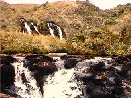 A paramo waterfall