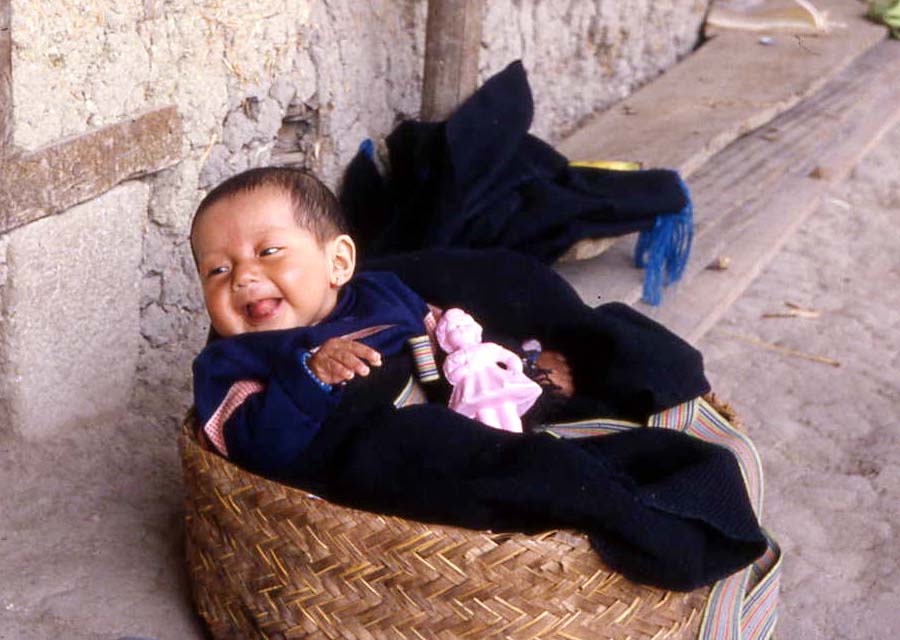 Baby in a basket