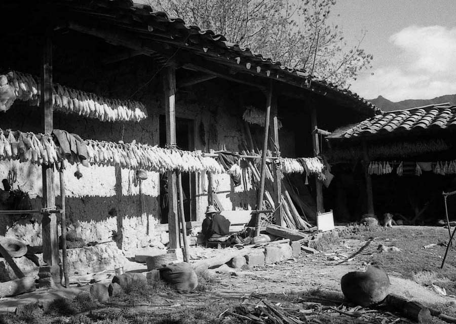 Typical house 1960s