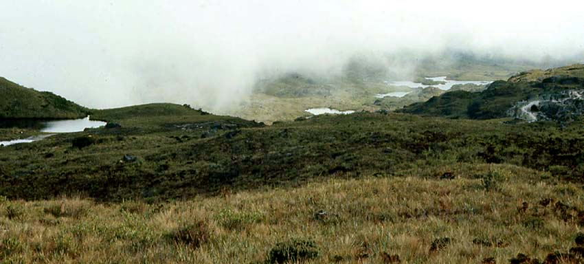 Tres Lagunas