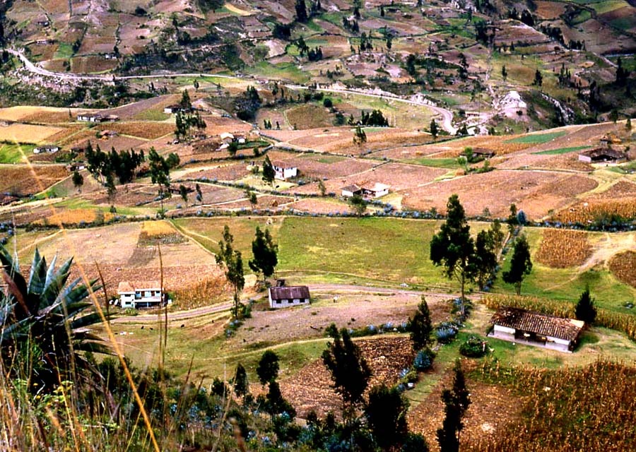Tuncarta in 1981