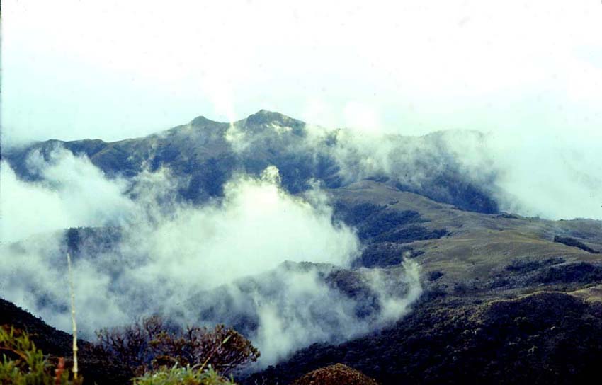 The Páramos of Tamboblanco